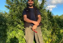 Plantapharma : La passion Occitane