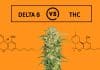 Le Missouri interdit la vente de Delta-8 THC et d’autres substances intoxicantes au CBD non réglementées Le Missouri interdit la vente de Delta-8 THC