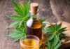 Du CBD contre l’alcoolisme