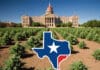 Le Texas va-t-il interdire le THC ?