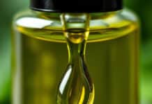 Le chanvre accélère la cicatrisation