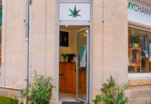 My Chanvre, l’ascension d’un acteur poitevin devenu référence française du CBD My Chanvre à Poitiers